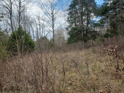 Graveley Valley Farms Tract 10