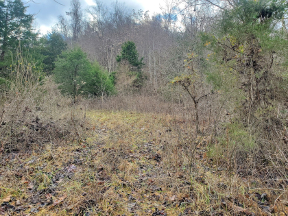 Graveley Valley Farms Tract 10