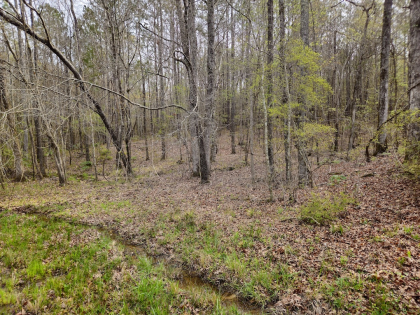 Crawford County Georgia Tract 4