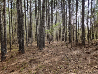 Crawford County Georgia Tract 5