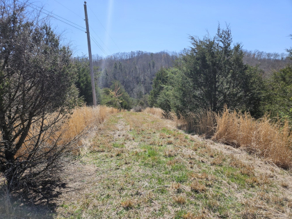 Tazewell Highway Tract 2