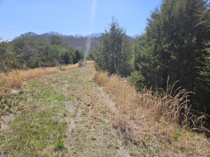 Tazewell Highway Tract 3
