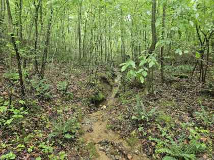 Nopone Valley Road Tract 11