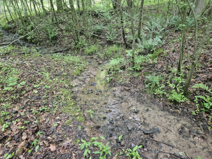 Nopone Valley Road Tract 11