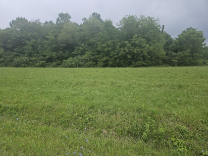 Lindsey Howard Rd Tract 10