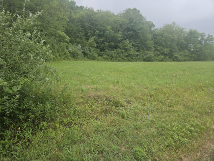 Lindsey Howard Rd Tract 10
