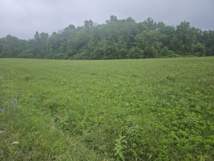 Lindsey Howard Rd Tract 10