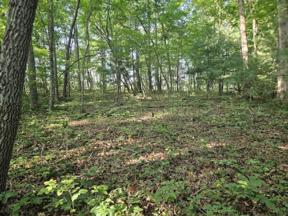 Lindsey Howard Rd Tract 09