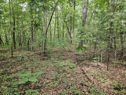 Lindsey Howard Rd Tract 10
