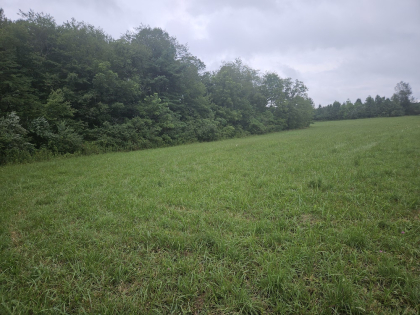 Lindsey Howard Rd Tract 10