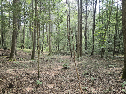 368 Roe Carter Rd