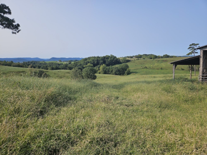 Oak Hill Farms Tract 21