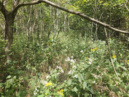 Hurricane Hollow Road