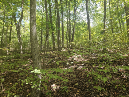 Hurricane Hollow Road