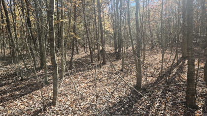 Deer Lodge 2 Tract 2