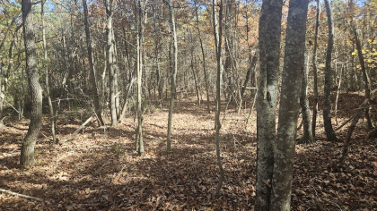 Deer Lodge 2 Tract 2
