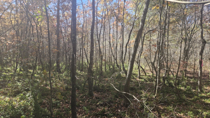Deer Lodge 2 Tract 3