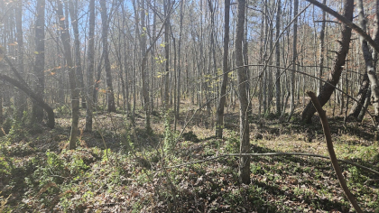 Deer Lodge 2 Tract 3