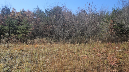 Deer Lodge 2 Tract 3