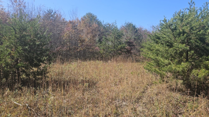 Deer Lodge 2 Tract 3