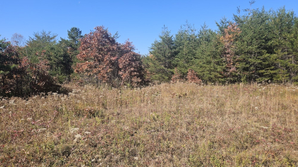 Deer Lodge 2 Tract 3