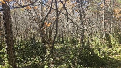 Deer Lodge 2 Tract 6