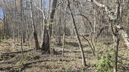 Deer Lodge 2 Tract 6