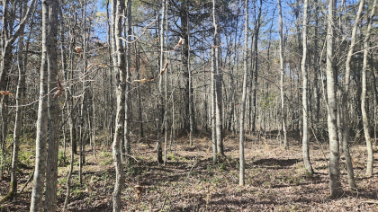 Deer Lodge 2 Tract 6