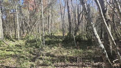 Deer Lodge 2 Tract 7