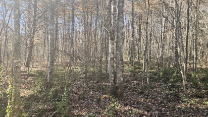 Deer Lodge 2 Tract 7