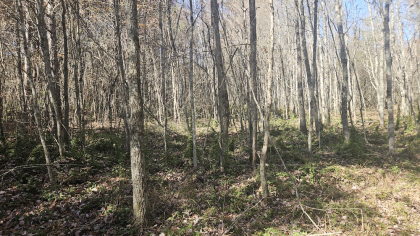 Deer Lodge 2 Tract 7