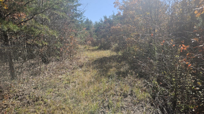 Deer Lodge 2 Tract 7