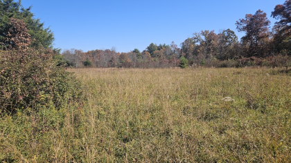 Deer Lodge 2 Tract 10