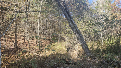 Deer Lodge 2 Tract 10