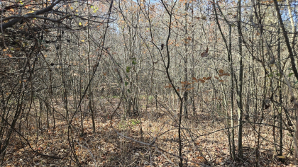 Deer Lodge 2 Tract 7