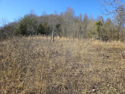 Copper Ridge 2 Tract 1