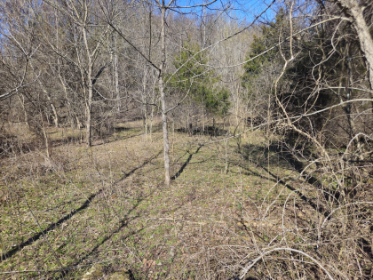 Copper Ridge 2 Tract 1