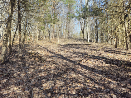 Copper Ridge 2 Tract 1