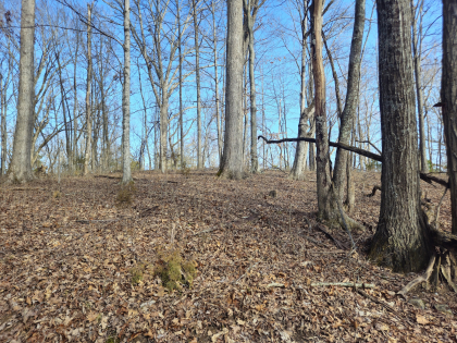 Copper Ridge 2 Tract 1