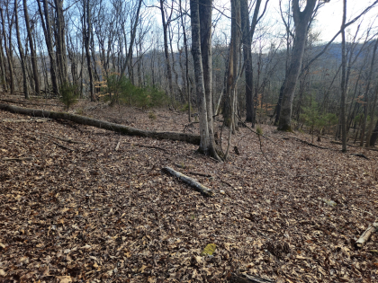 Copper Ridge 2 Tract 1