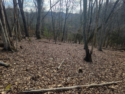 Copper Ridge 2 Tract 1