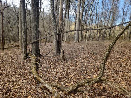 Copper Ridge 2 Tract 1