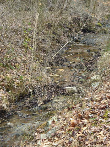 Low Gap Road Tract 5