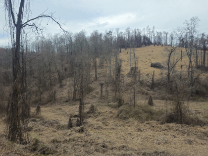 Low Gap Road Tract 4