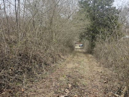 Low Gap Road Tract 3