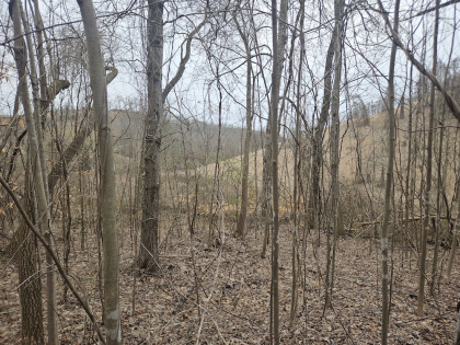 Low Gap Road Tract 3