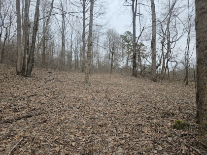 Low Gap Road Tract 1
