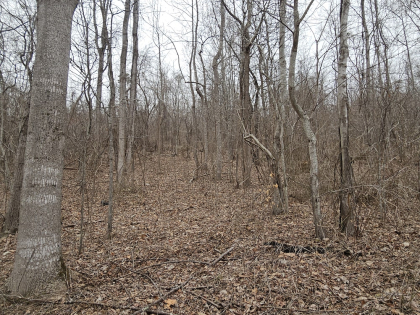 Low Gap Road Tract 1