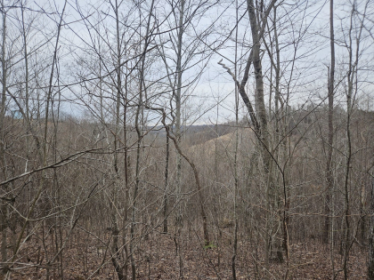 Low Gap Road Tract 1