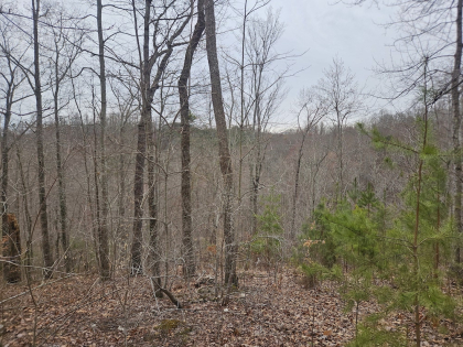 Low Gap Road Tract 2